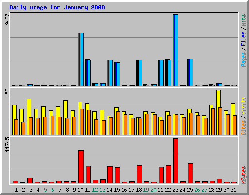 Daily usage for January 2008