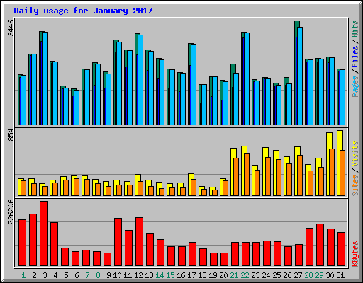 Daily usage for January 2017