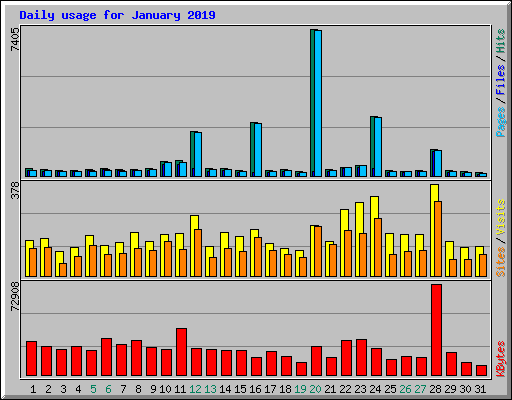 Daily usage for January 2019