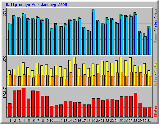 Daily usage for January 2025