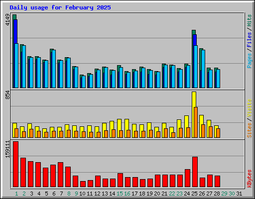 Daily usage for February 2025