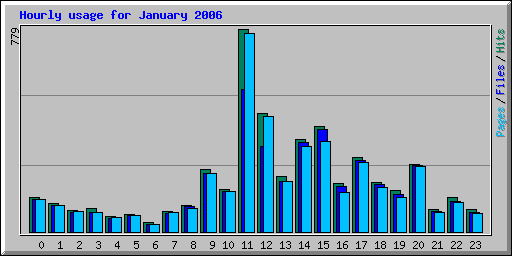 Hourly usage for January 2006