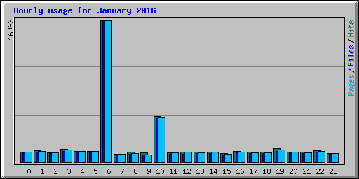 Hourly usage for January 2016