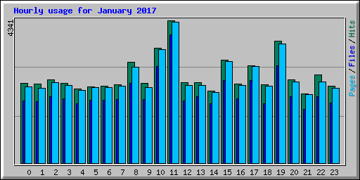 Hourly usage for January 2017