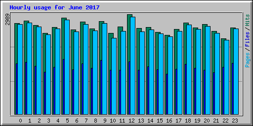 Hourly usage for June 2017
