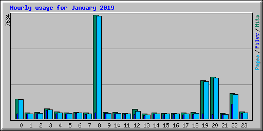 Hourly usage for January 2019