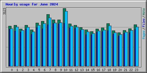 Hourly usage for June 2024