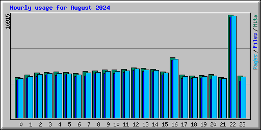 Hourly usage for August 2024