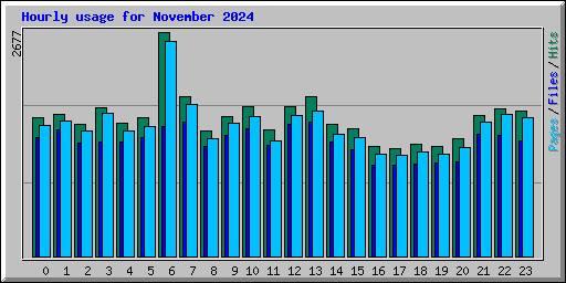 Hourly usage for November 2024