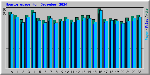Hourly usage for December 2024