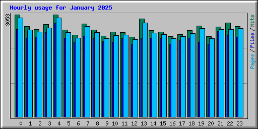 Hourly usage for January 2025