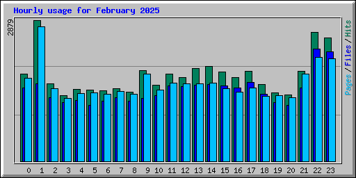 Hourly usage for February 2025