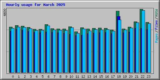 Hourly usage for March 2025