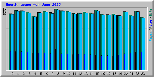 Hourly usage for June 2025