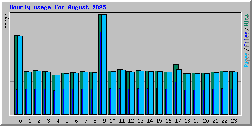 Hourly usage for August 2025