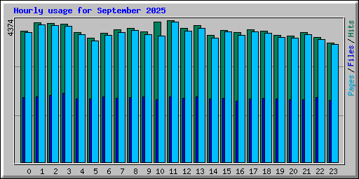 Hourly usage for September 2025