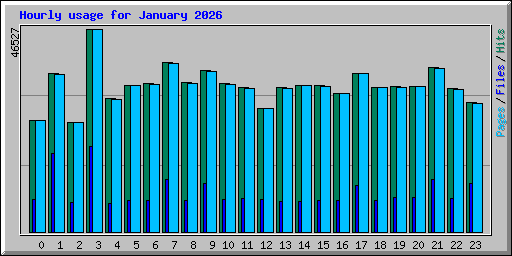 Hourly usage for January 2026